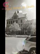 Novel Soul Mates or Death by Juniper Breeze