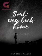 Novel Soul: Way Back Home by Agnotius