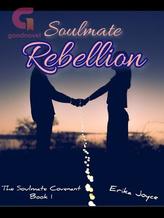 Novel Soulmate Rebellion by Erika Joyce