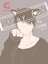 Novel Stray Cat by callesy