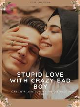 Novel Stupid Love With Crazy Bad Boy by Fatimah Rohim