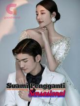 Novel Suami Pengganti Sensasional by 260498RSW