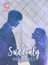 Novel Suddenly Married by Lanlia