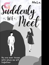 Novel Suddenly We Meet by MaLa