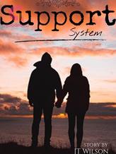 Novel Support System by J T Wilson