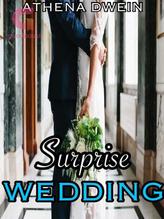 Novel Surprise Wedding by Athena Dwein