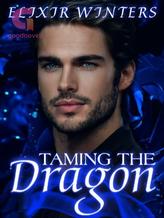 Novel TAMING THE DRAGON by Elixir Winters