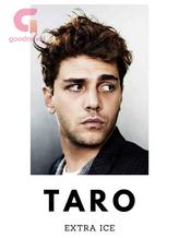 Novel TARO by extraice Novel TARO by extraice