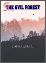 Novel THE EVIL FOREST by Idris Musungu