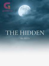 Novel THE HIDDEN SECRETS by AnishaxAhsinashi