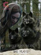 Novel THREE BROTHERS! ONE MATE! by Lockness