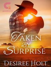 Novel Taken by Surprise by Desiree Holt