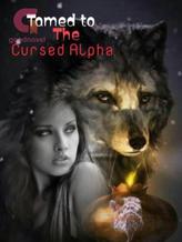 Novel Tamed To The Cursed Alpha by Lucy