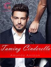 Novel Taming Cinderella by Amanda