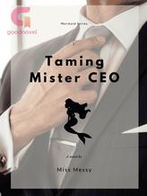 Novel Taming Mister CEO by _missmessy