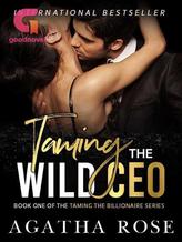 Novel Taming The Wild CEO by Agatha Rose