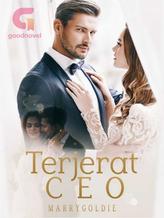 Novel Terjerat CEO by Marrygoldie