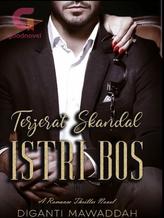 Novel Terjerat Skandal Istri Bos by Diganti Mawaddah