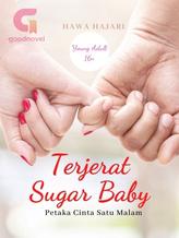 Novel Terjerat Sugar Baby by Hawa Hajari