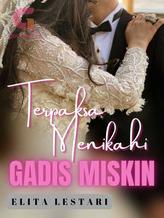 Novel Terpaksa Menikahi Gadis Miskin by Elita Lestari