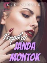 Novel Terpikat Janda Montok by Ele Storie