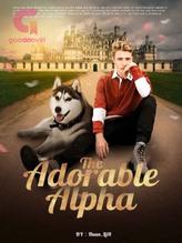 Novel The Adorable Alpha(BL) by Huan_Li18