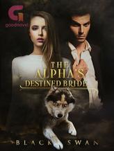 Novel The Alpha’s Destined Bride by BlackSwan