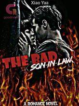 Novel The Bad Son-in-Law by Xiao Yaa