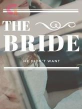 Novel The Bride He Didn’t Want by Rae Hill