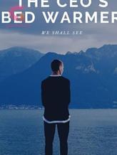 Novel The CEO’S bed WARMER by Emmanuel oriaku