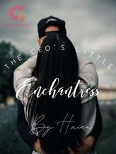 The CEO's Little Enchantress