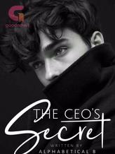 Novel The CEO’s Secret by Alphabetical B