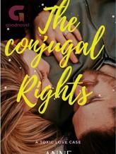 Novel The Conjugal Rights by Anne Rajput