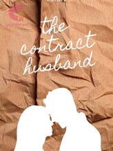 Novel The Contract Husband by Clefairy