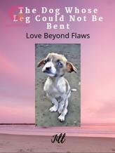 Novel The Dog Whose Leg Could Not Be Bent (Love Beyond Flaws) by Jill