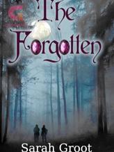 Novel The Forgotten – Book One of the Chronicles of Faynon by Sarah Groot