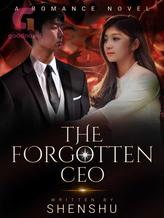 Novel The Forgotten CEO by Shen Shu