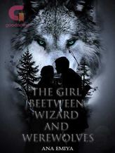 The Girl Between Wizards and Werewolves