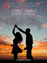 Novel The New Bad Boy by Pinktulips