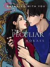 Novel The Peculiar Morass by Erhaneya