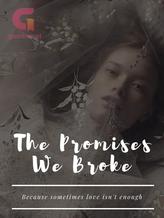 The Promises We Broke