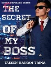 Novel The Secret Of My Boss by Tassel