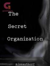 Novel The Secret Organization by missauthorC