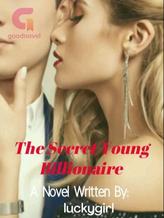 Novel The Secret Young Billionaire by luckygirl