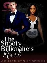 Novel The Snooty Billionaire’s Maid by Gift Odulesi