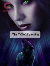 Novel The Tribrid’s mates by Shorty