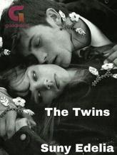 Novel The Twins by Suny Edelia