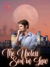 Novel The Useless Son In Law by Blue white