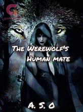 Novel The Werewolf’s Human Mate by osemudiamensandra5