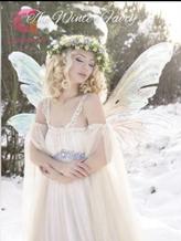 The Winter Fairy